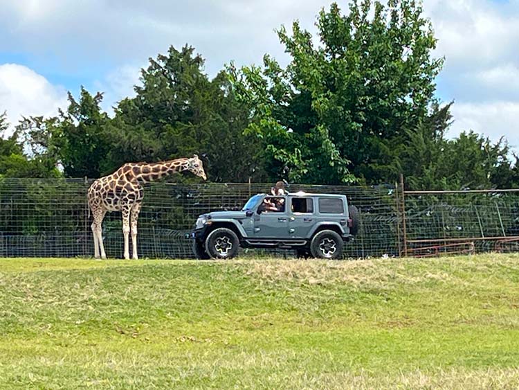 Tennessee Safari Park