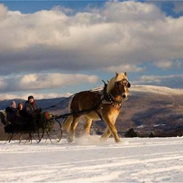 trapp carriage ride